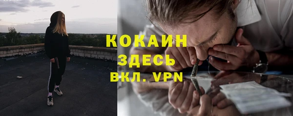 ГАЛЛЮЦИНОГЕННЫЕ ГРИБЫ Алексин