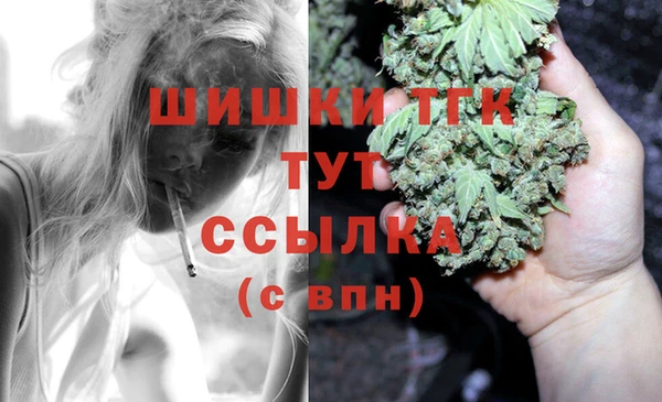 прущий лед Алзамай