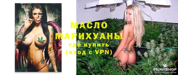 прущий лед Алзамай