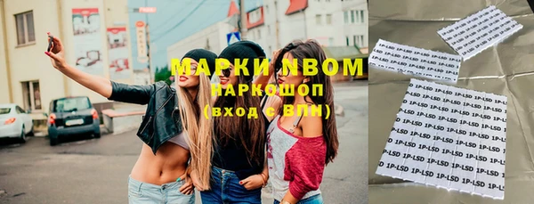 прущий лед Алзамай