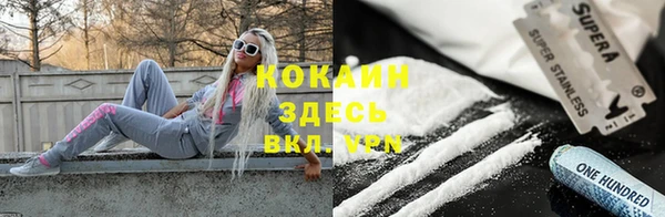 ГАЛЛЮЦИНОГЕННЫЕ ГРИБЫ Алексин