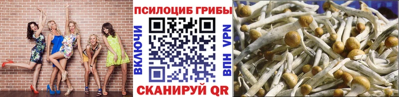Галлюциногенные грибы мицелий  где найти   Пермь 